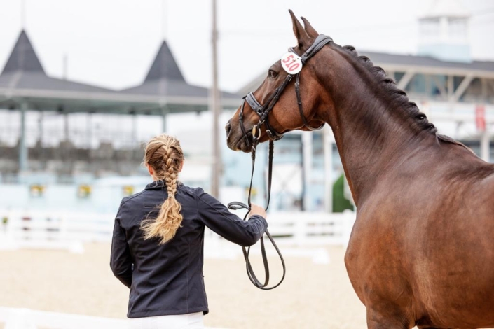 Double A Equestrians